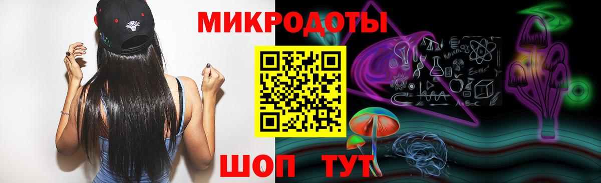 Псилоцибиновые грибы Psilocybe Тверь